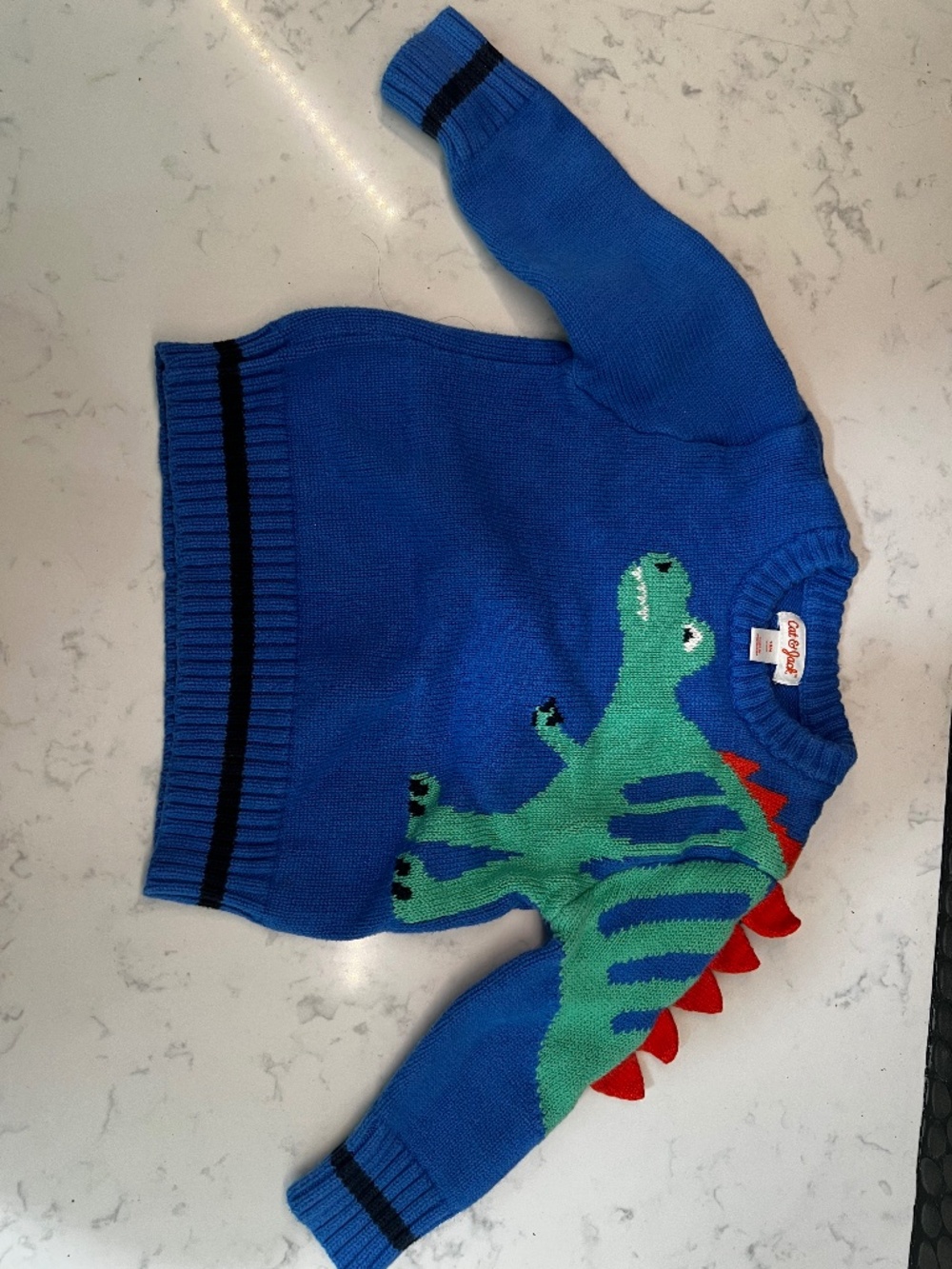 Dino sweater